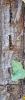 277457 – Photo : Thomas Lebard – France (06)